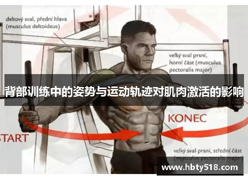 背部训练中的姿势与运动轨迹对肌肉激活的影响